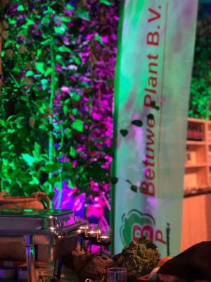 70556166-2488814554487468-3686427368538243072-n1